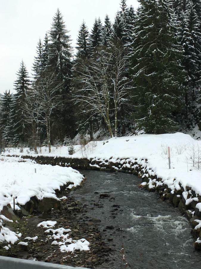 Haus Georgenhoehe Wildemann Bagian luar foto