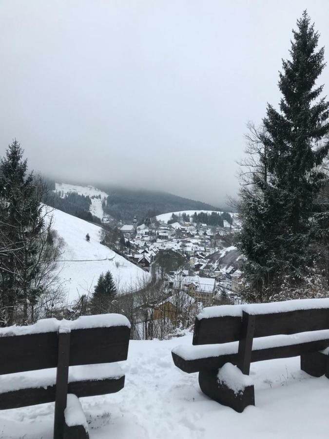 Haus Georgenhoehe Wildemann Bagian luar foto