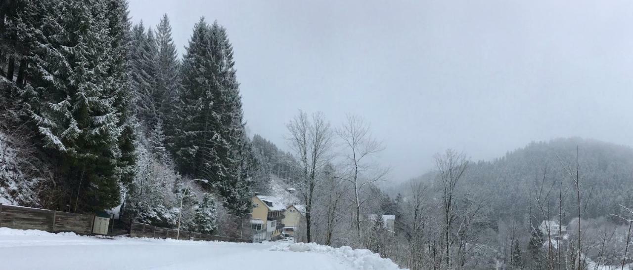 Haus Georgenhoehe Wildemann Bagian luar foto